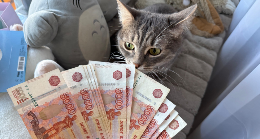 Пензенским семьям доступна мера поддержки для погашения ипотеки