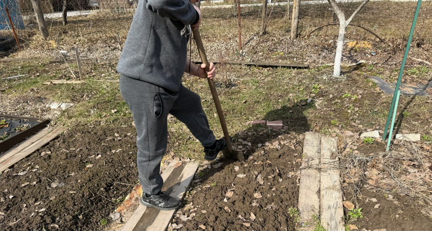Как сделать почву плодородной без навоза. Секреты эффективного применения