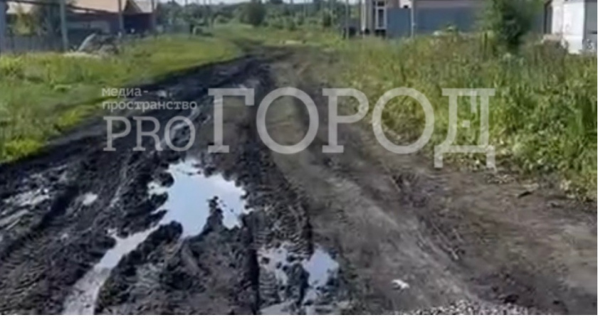 «Ни воды, ни света на улицах, ни инфраструктуры»: многодетные семьи из Пензы получили непригодные для жизни земли