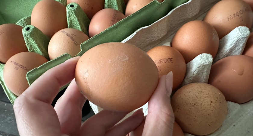 Белые или коричневые? Советы по выбору яиц, маркировке и проверке качества