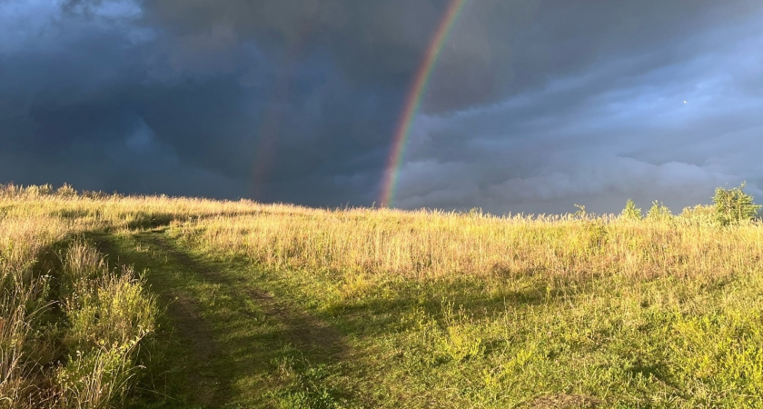 Пензенские аграрии в рамках уборочной кампании собрали более 3 млн тонн зерна
