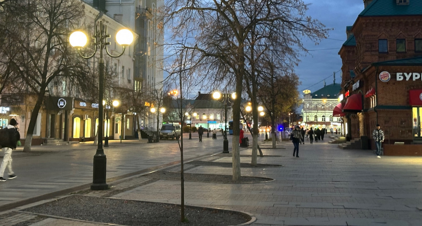 Миграционная служба Пензенской области изменила график работ в дни выборов