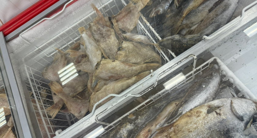 Что можно выиграть в кулинарной лотерее «Светофора». Реальные находки и советы