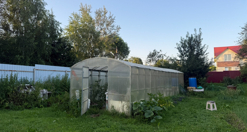 Как сделать почву в теплице рыхлой: осенние работы для урожая.