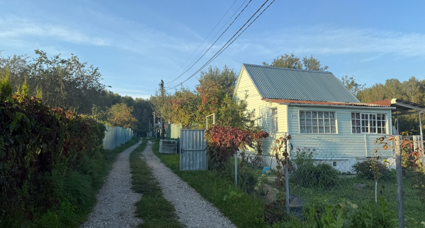 Деревня или Москва: реальная цена переезда мечты на примере одной семьи