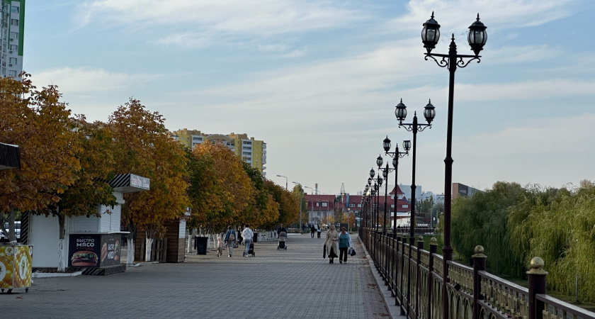 ЦУР Пензенской области на минувшей неделе получил более 1 500 сообщений от пензенцев