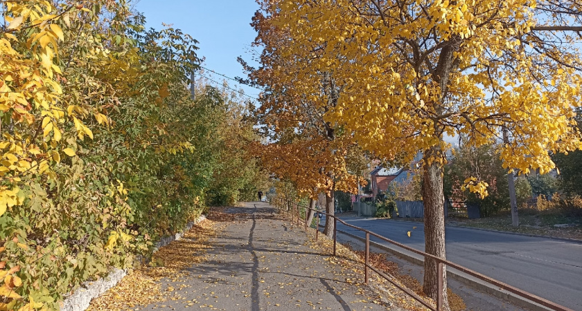 В Пензе стартовал осенний месячник по благоустройству