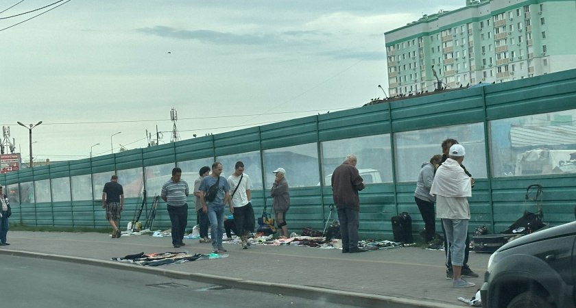 Цитаты Ирины Хакамады с разбором: смелость, счастье и мудрость для жизни 