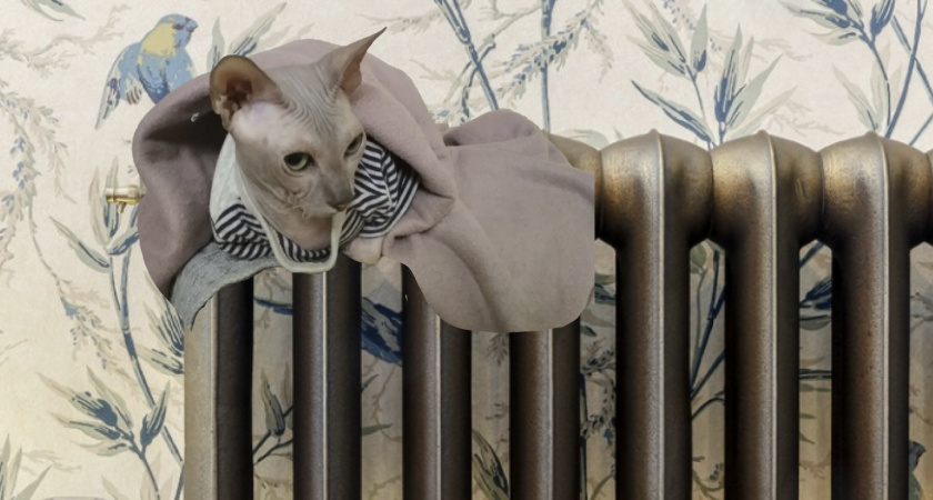 Губернатор оценил, насколько Пензенская область готова к отопительному сезону