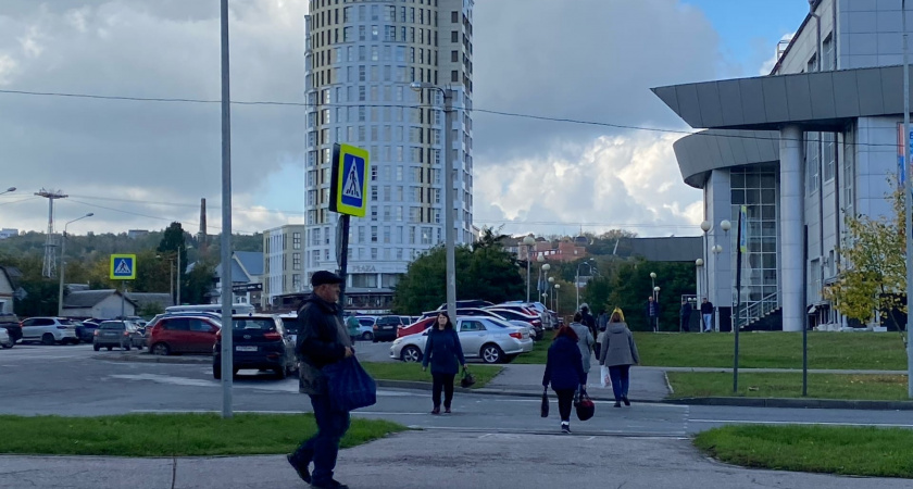 Верховный суд: водитель не обязан ждать, пока пешеход полностью перейдёт дорогу 