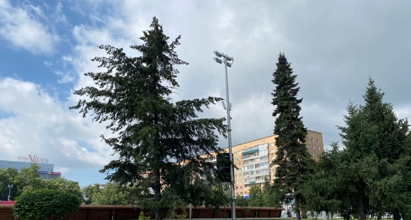 В Пензе активно продолжается восстановление зеленого фонда