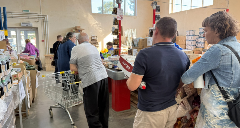 Светофор: как устроен дискаунтер, откуда берутся низкие цены и особенности магазина