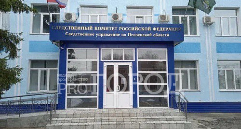 Родители подростка из Пензы вернули пенсионерке похищенные 65 тысяч рублей