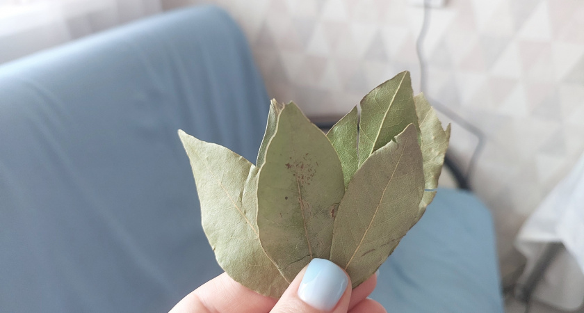 Лавровый лист в кошельке: польза, наука и маленький секрет порядка