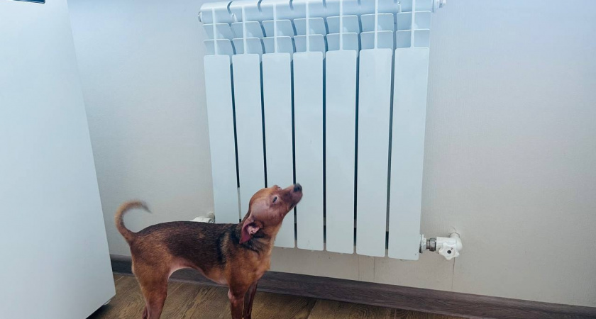 С 25 сентября в Пензе стартует отопительный сезон