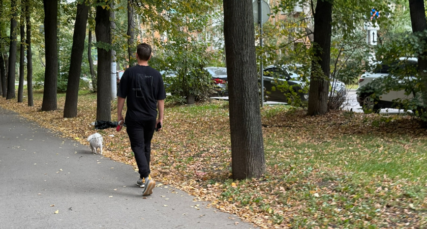 Прогноз погоды на осень от синоптиков. Народные приметы на осень 