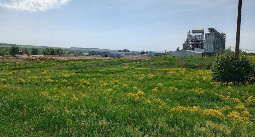 В Колышлейском районе курганную группу признали объектом культурного наследия