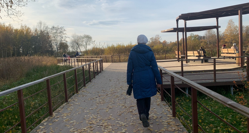 Глава Пензы поддержал идею создания новой зоны отдыха в мкр. Арбеково