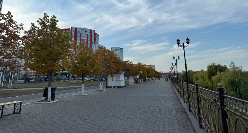 В Сердобском районе 27 сентября будет проходить эстафета на призы губернатора