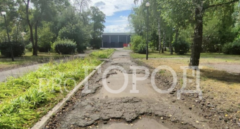 «Получается, что мы, жители Шуиста, второсортные?»: пензенцы просят спасти сквер «Дружбы»