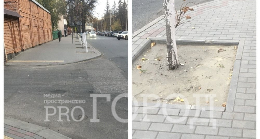 Кладбище сухих деревьев обнаружил пензенец у здания Железнодорожной администрации