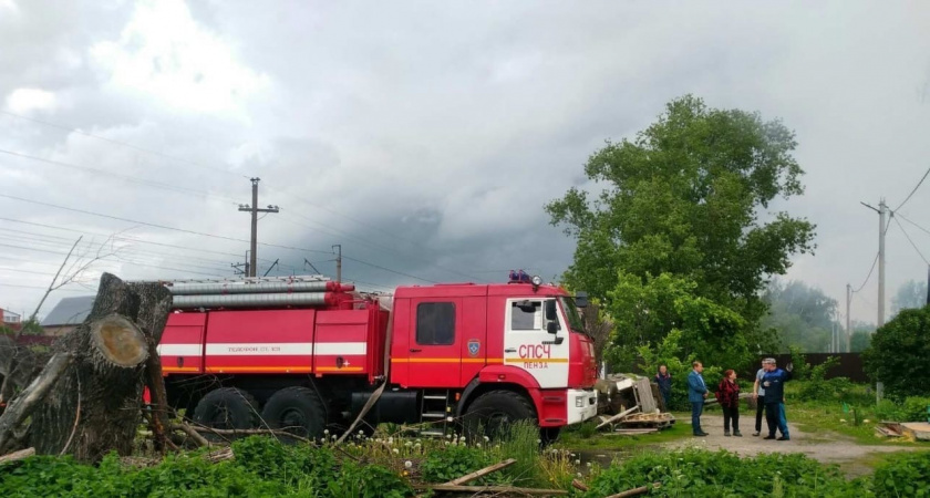 В Пензенской области потушили лесной пожар
