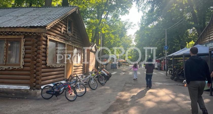 Благоустройство «под ноль», дырявый асфальт, нехватка лавочек: какие проблемы сегодня больше всего волнуют пензенцев