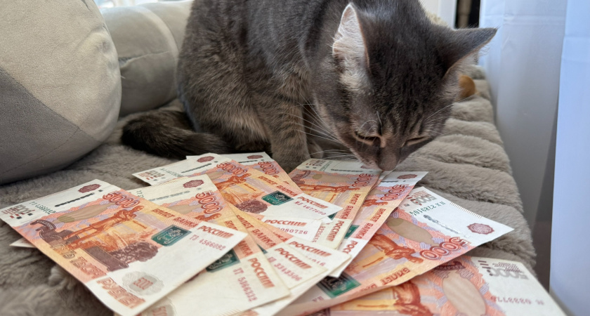 В Пензенской области увеличат взносы на капремонт до 14,50 рублей