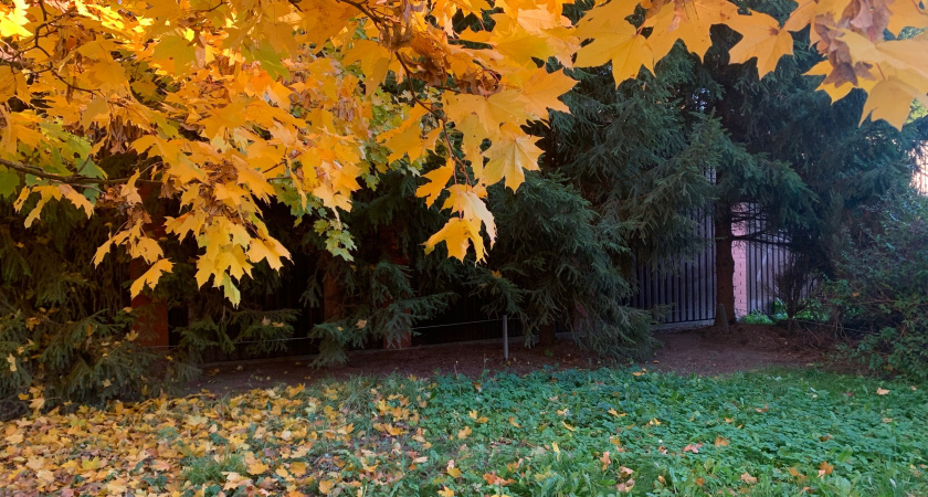 В пензенский зоопарк из Удмуртии привезут трех новых обитателей