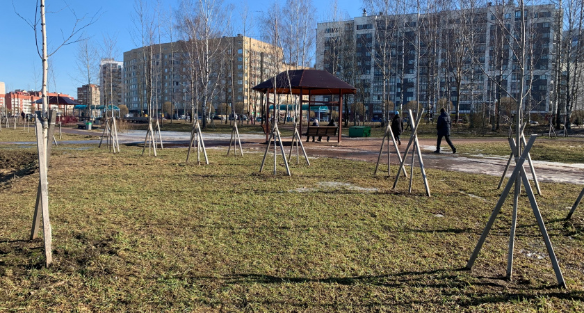 В Пензенской области в рамках акции «Сохраним лес» будет высажено 60 тыс. деревьев