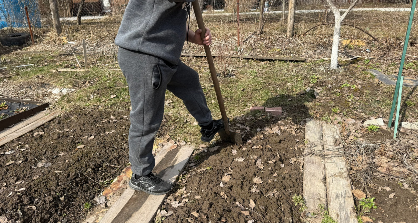 Практическое руководство по применению ЭМ-препаратов для оздоровления земли на даче