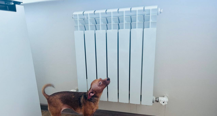 В Пензе тепло появилось во всех школах и детских садах