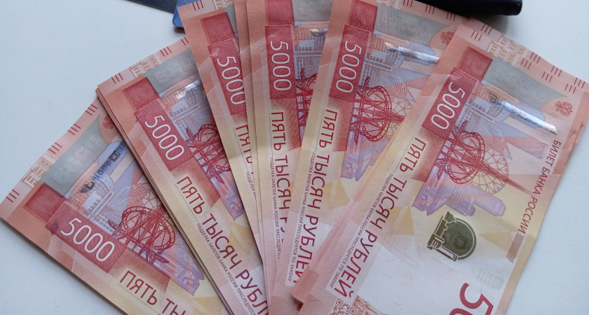 Жители Пензенской области могут заплатить налоги за детей онлайн