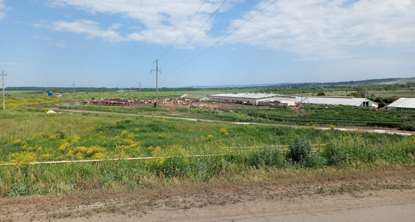 В Пензенской области прокуратура помогла вернуть более 300 га земель в муниципальную собственность