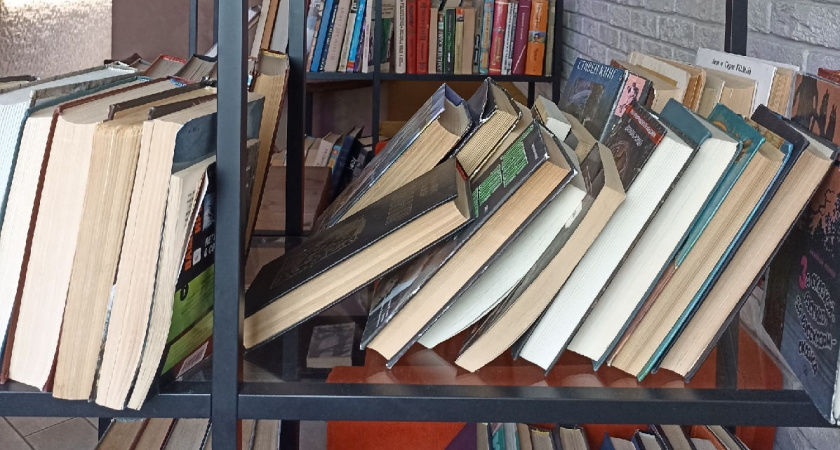 Полицейские задержали кузнечанку, укравшую книги стоимостью около 6 тыс. рублей