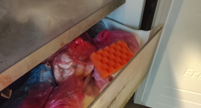 Секрет чистой губки — морозилка. Узнайте, как холод уничтожает бактерии