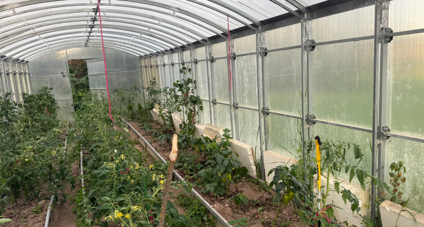 Дешёвое тепло для теплицы: как обогреть ведром и свечой 