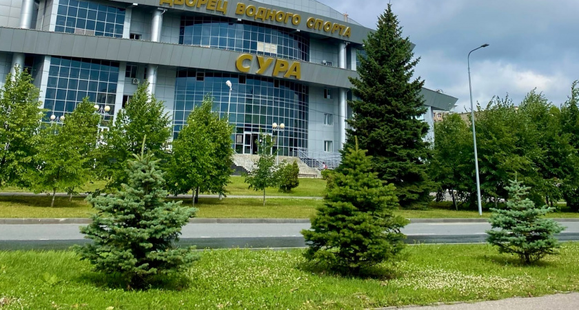 Во дворах г. Пензы будет высажено более 600 деревьев