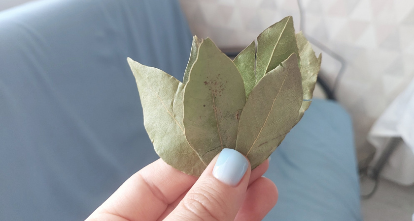 Необычные способы использования лаврового листа в быту 