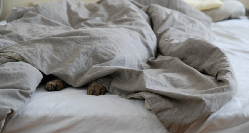 Стирка большого одеяла в домашних условиях: практические советы и лайфхаки 