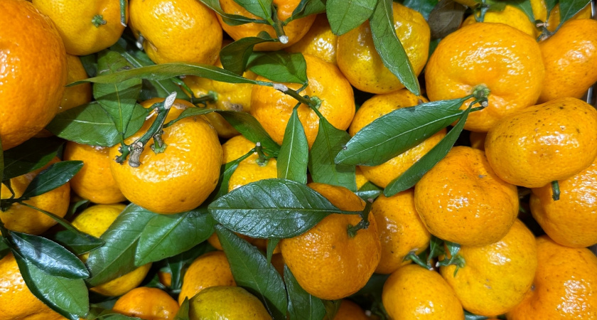 Как сделать чистящее средство из мандариновых корок и уксуса