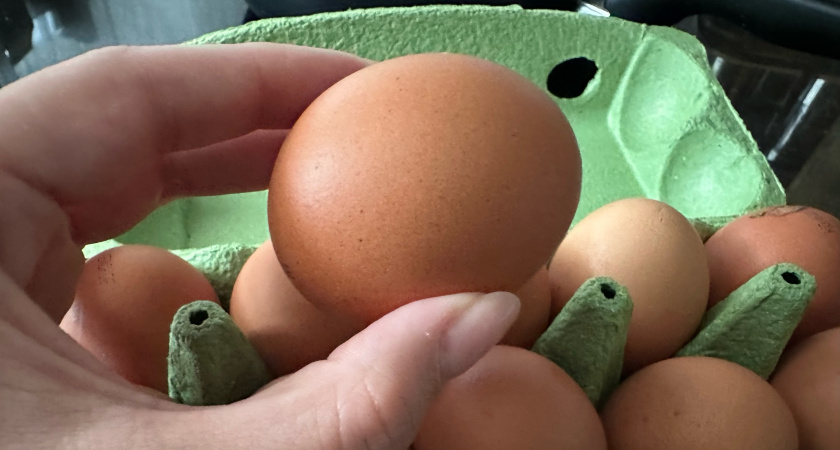 Рейтинг яиц по версии Роскачества. Какие торговые марки получили Знак качества 