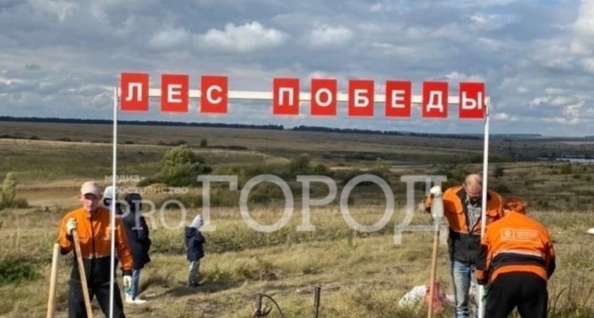 В память о павших воинах на Куликовом поле в Заре высадят саженцы дуба