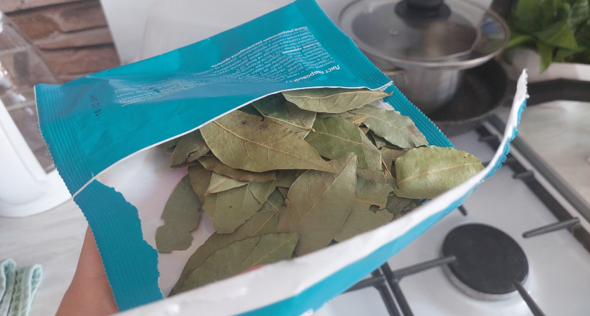 Лавровый лист как удобрение и защита для рассады. Применение