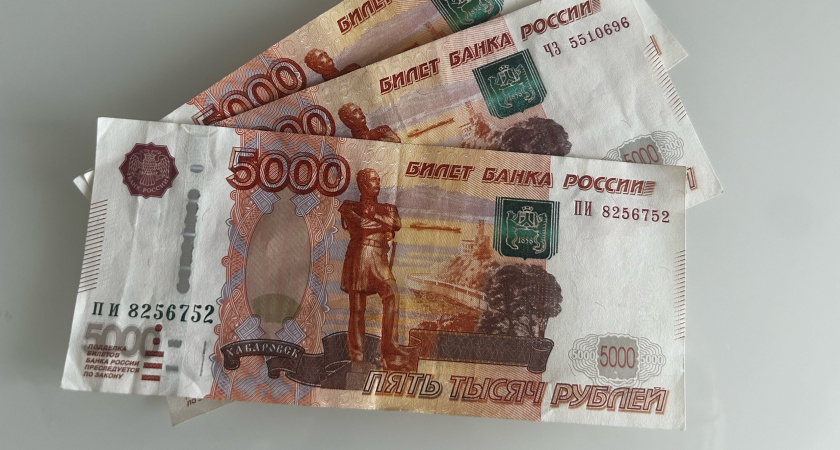 В Пензенской области более 12,5 тысяч пенсионеров получают «сельскую доплату» к пенсии