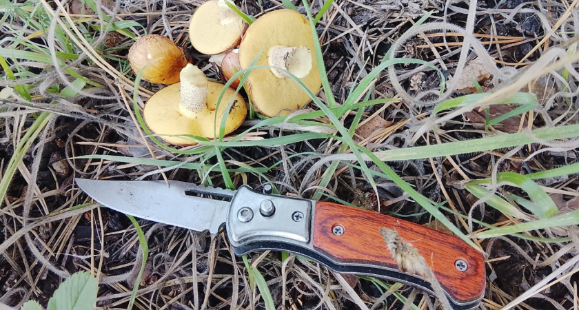 В Заречном мужчина попытался продать нож и попал под статью