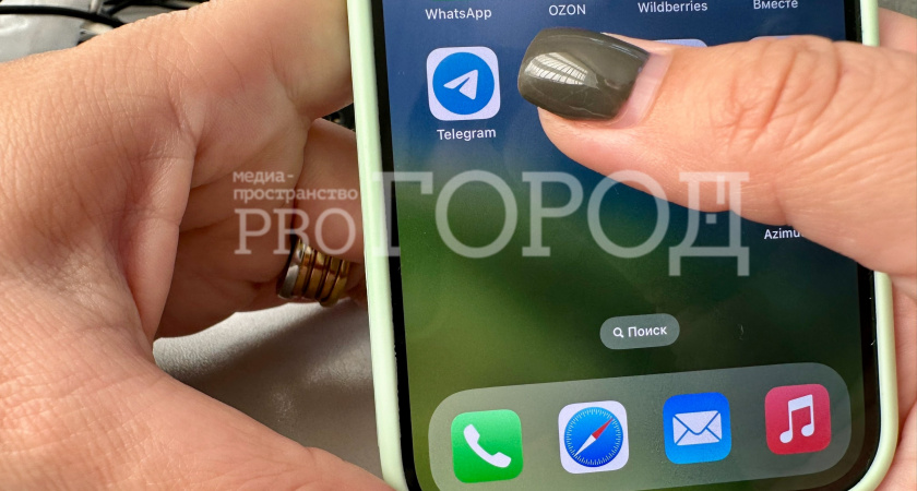 Заработал специальный чат-бот, принимающий жалобы от беременных пензячек