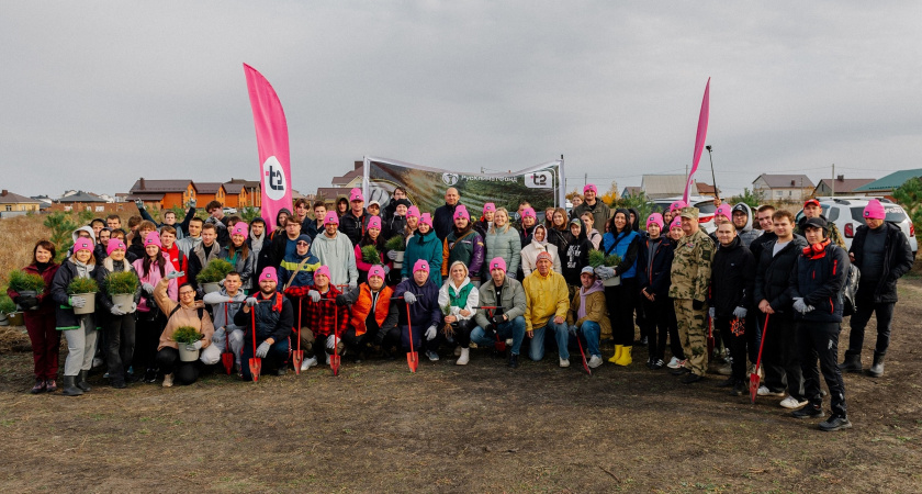 В Пензенской области высадили 10 тысяч сосен