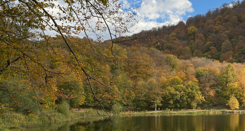 Жителей Пензенской области предупреждают о сильном ветре