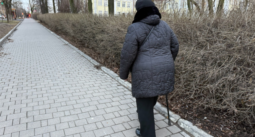 Пензенские спасатели помогли участнице ВОВ